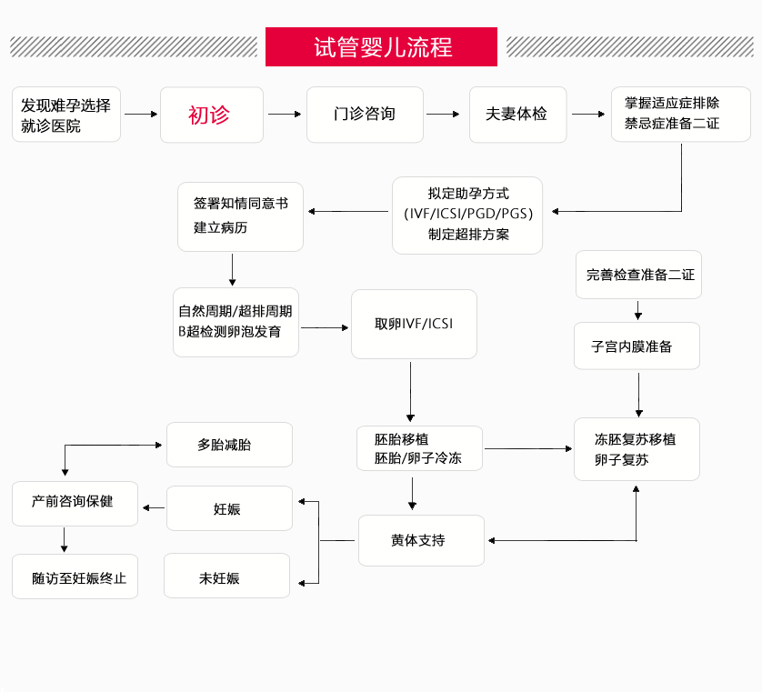 试管婴儿就诊流程