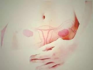 子宫动脉
