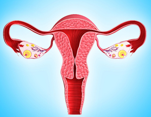 输卵管切除后，会让女性不孕?