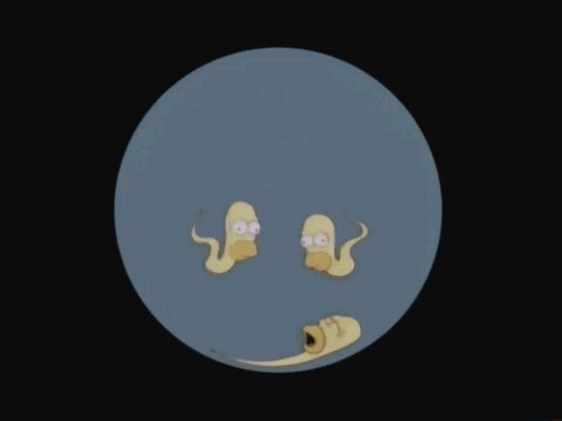 精子畸形率