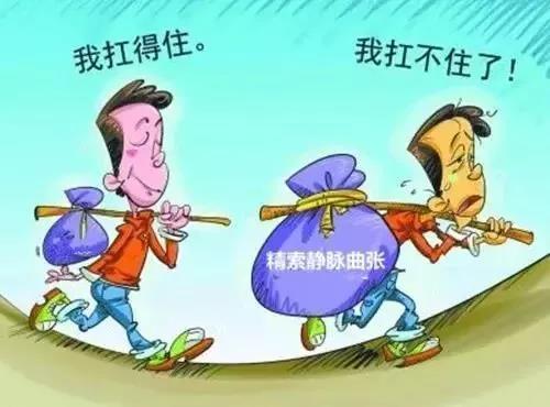 关于精索静脉曲张,看这一篇就明白了!