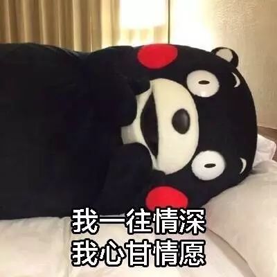 摆一摆