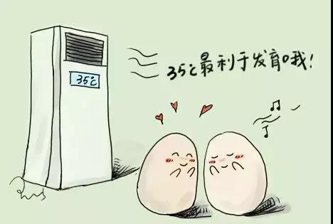 精子喜欢的温度,是冷还是热?