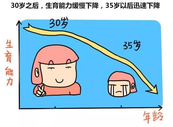 女性生育能力