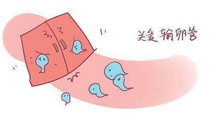 这篇输卵管不孕已经把症状、原因、怎么护理都写好了,再不看就要被删了