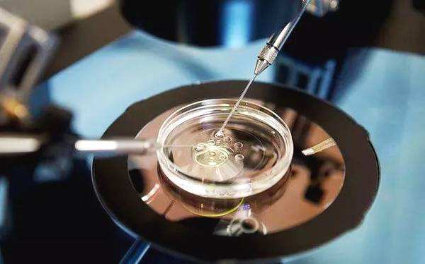 胚胎移植你还在选择卵裂期胚胎吗？不如试试囊胚吧！