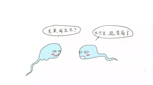 阴茎先天性发育异常