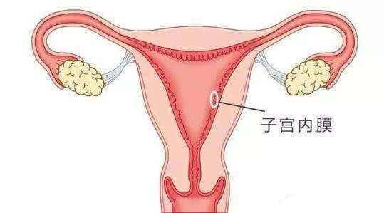 子宫内膜厚，是怎么回事喃?该怎么办?