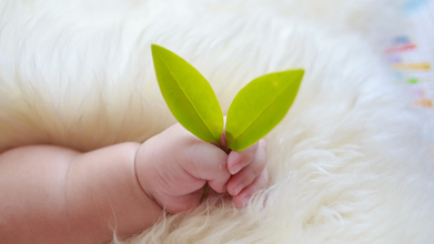 做试管婴儿为什么要考虑冻胚移植?这些原因你可知?