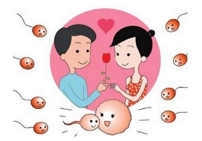 夫妻孕育