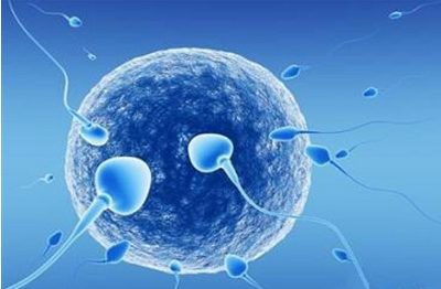 男性不育?是因为精子出现了这些问题!