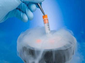 为解冻后的原核/卵裂期胚胎提供时间进行评价和修复。