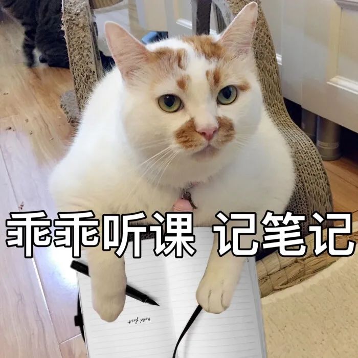 在我院,降调后促排方案常规有三种:①卵泡期长效长方案,②改良方案,③黄体期短效长方案