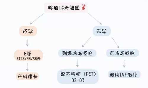 根据验孕结果，决定了下一步做什么，听医生的话，保持平常心的亲，糊里糊涂地就当了妈；过于紧张，道听途说的亲，可能就需要重新来过