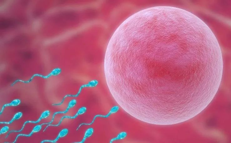 当女方在规律作息备孕时,请男方也同时进行,不做伤身、伤精的事情