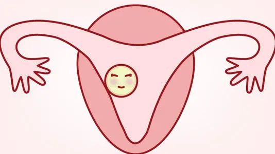 依赖雌激素让子宫内膜生长到一定厚度(8mm以上)，然后使用孕激素让子宫内膜发生转化，从增生期转化到适合胚胎着床的分泌期。如果整个过程都顺利，就可以植入胚胎