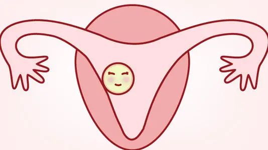 依赖雌激素让子宫内膜生长到一定厚度(8mm以上),然后使用孕激素让子宫内膜发生转化,从增生期转化到适合胚胎着床的分泌期。如果整个过程都顺利,就可以植入胚胎