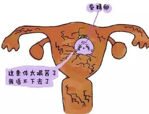 内膜怎样才算薄