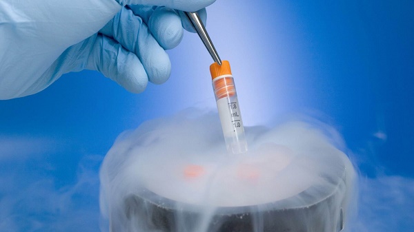 试管助孕，选择冻胚移植有什么好处? 更