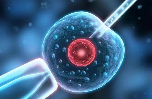 胚胎移植的注意事项有哪些 更新时间：