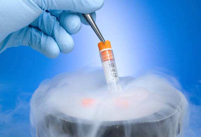 试管婴儿胚胎什么时候才能复苏移植?复苏