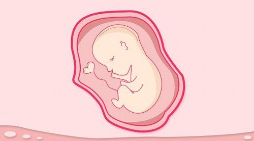 试管婴儿移植多少个胚胎合适呢?移植个数