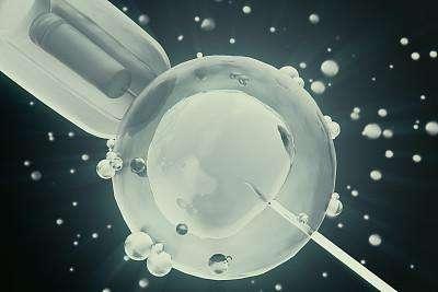 单胚胎VS多胚胎